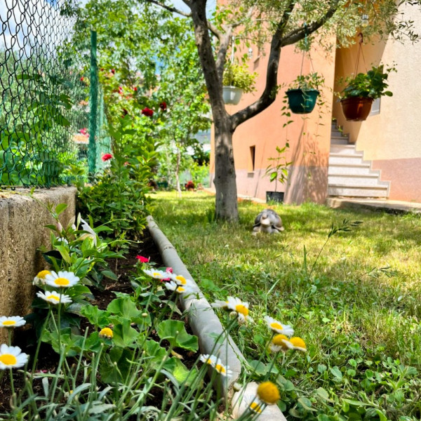 Family Apartment Nina Zadar 🌞, Zadar & Krk Vacation Oasis Zadar